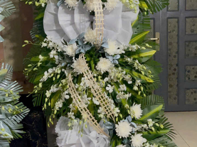 Hình ảnh mới