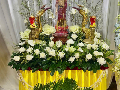 Hình ảnh mới