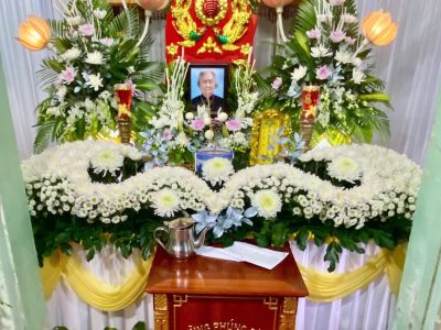 Hình mới