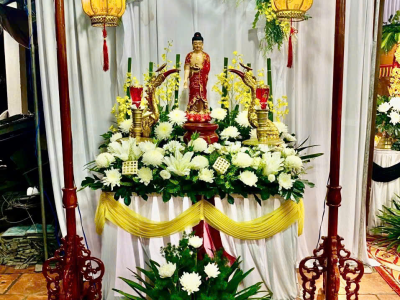 Hình mới